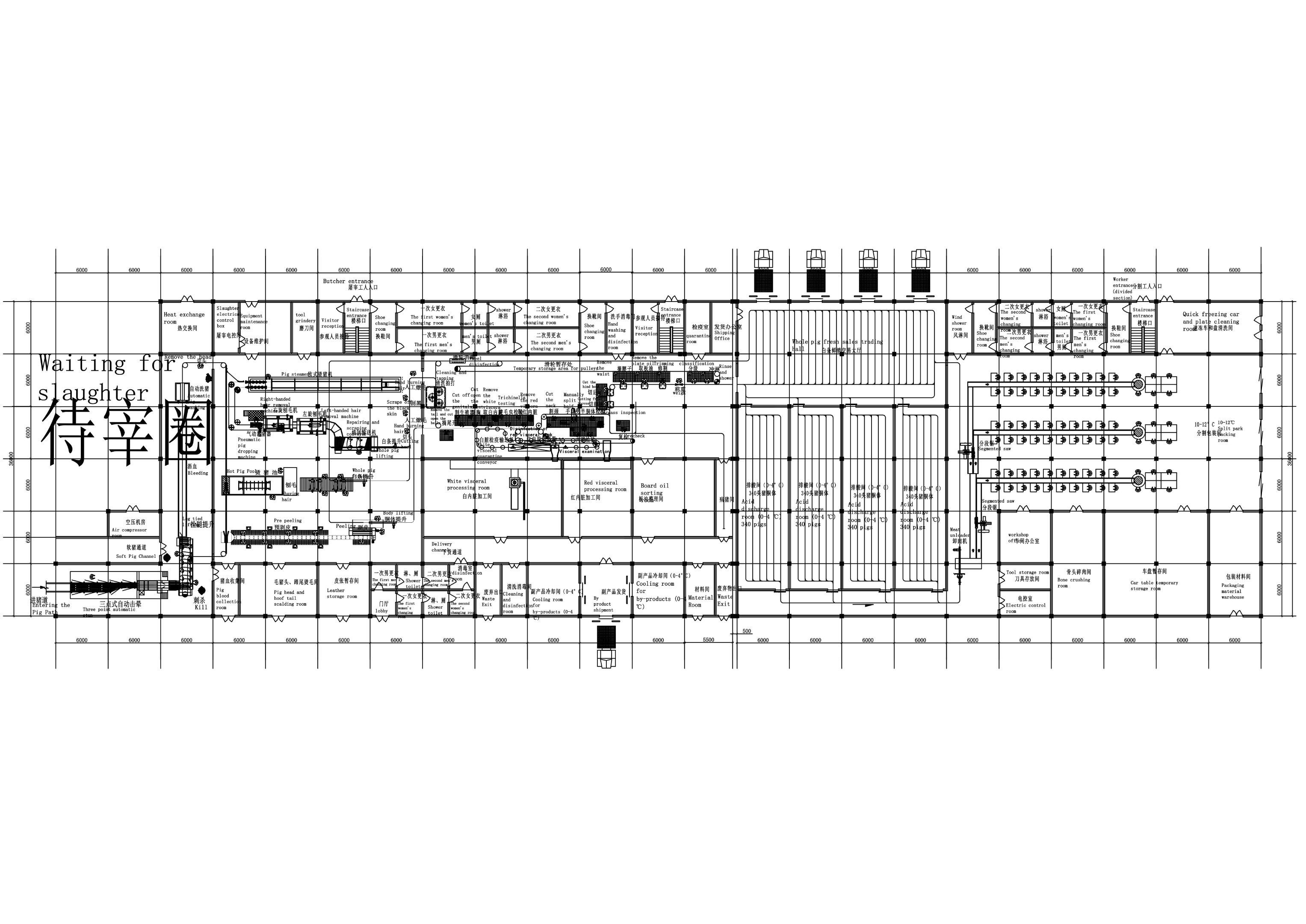 1000 pig per shift slaughterhouse turnkey project
